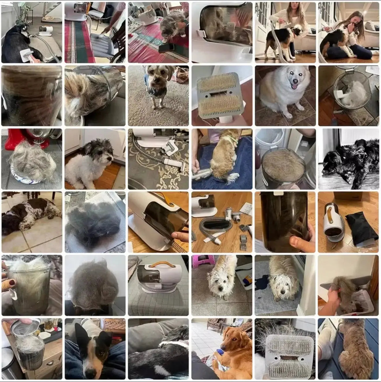 Pet Grooming Kit with Vacuum PG100 – Quiet Dog & Cat Grooming Vacuum, 12,000Pa Suction, Low-Noise Clippers, Shedding & Hair Removal System FurFree Homes