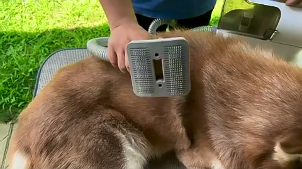 Pet Grooming Kit with Vacuum PG100 – Quiet Cat & Dog Grooming Vacuum System, 12,000Pa Suction, Low-Noise Clippers, Shedding & Hair Removal System